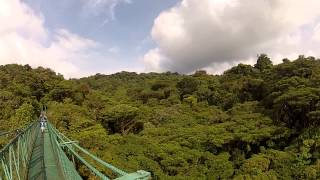 Monteverde Costa Rica | Selvatura Park Hanging Bridges