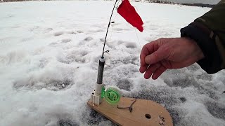 ЗИМНЯЯ РЫБАЛКА !!! ЩУЧИЙ БАЗАР !!! АВТОМАТ ЖЕРЛИЦА !!! РЯДОМ С ДОМОМ !!!