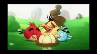 Angry Birds get captured | Sparta Remix