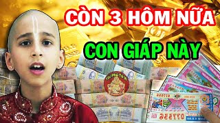 Chúc Mừng 3 Con Giáp Trúng Số Độc Đắc Liên Tiếp Giàu Có Nhất Vùng Sau 30 Tết 2022