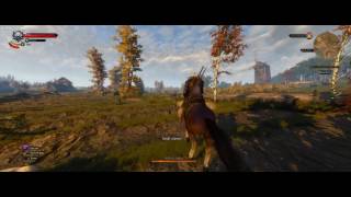 The Witcher 3 Griffin Boss Battle - White Orchard (GTX 1080 FTW Hybrid)