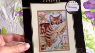 Вышивка крестом: Купание котика от Dimensions