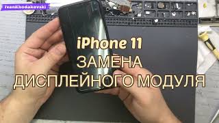 iPhone 11/ Замена дисплейного модуля