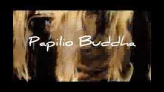 Papilio Buddha Trailer