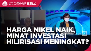 Harga Nikel Melonjak, Minat Investasi Hilirisasi Meningkat