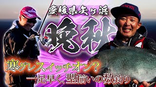 寒グレスイッチオン？一足早く、型揃いの数釣り～愛媛県矢ヶ浜 [後編]