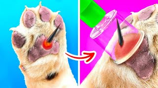 KIAT CERDAS UNTUK ANABUL || Kiat Bertahan Hidup DIY dan Trik Menyelendupkan Anabul oleh 123 GO! Like