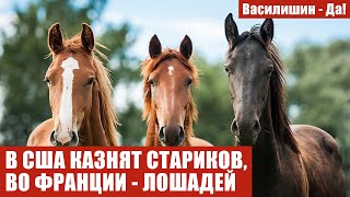 В США КАЗНЯТ СТАРИКОВ, ВО ФРАНЦИИ - ЛОШАДЕЙ
