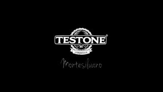 Testone Montesilvano - Promo 1/4