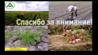 Особенности действия гуминовых веществ на растения. Органо-минеральное удобрение «СТИМУЛАЙФ».