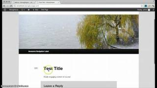 Page Customization! (Watch in 720HD)