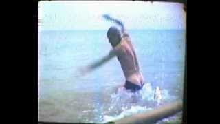 shark attack, defense by pocket knife