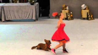 Lilja och Goa hund 2010