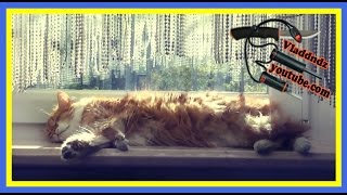 Откосы ПВХ без фиксации стартового профиля.