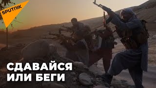 Талибы хозяйничают на севере Афганистана
