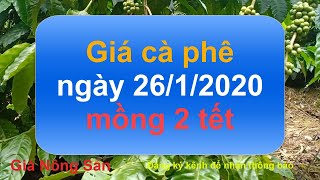 Giá cà phê hôm nay ngày 26 tháng 1 năm 2020, giá cà phê hôm nay