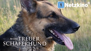 Mein treuer Schäferhund (Abenteuerfilm in voller Länge, kompletter Film auf Deutsch)