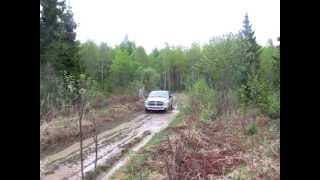 рейд Рубежи - поиск братской могилы под Вязьмой