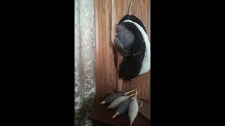 От истоков.... наш родной способ прядения веретеном.