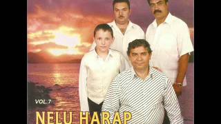Nelu Harap - M-am gandit mama la tine