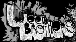 Weed Brothers (Kroniker + Peyotl) : Terre d'asile (Remix)