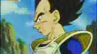 Majin Vegeta Tribute