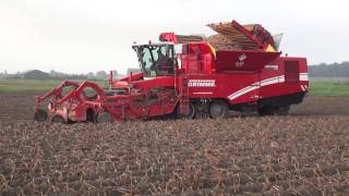 Aardappels rooien 06-08
