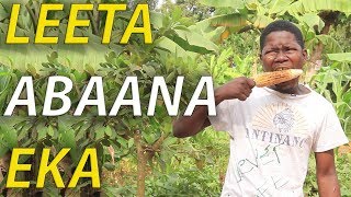 LEETA ABAANA EKA - Ugandan Comedy skits.