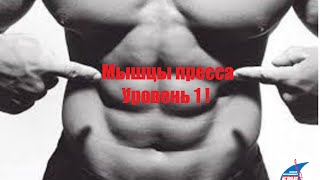 Тренируйся как гимнаст! Упражнения для мышц пресса. Уровень 1.
