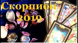 СКОРПИОН И ТАРО ПРОГНОЗ ( ГОРОСКОП) на 2019." Гадание на картах Таро " 12  месяцев"
