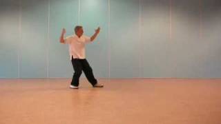 Tai Chi Chuan. Forme Yang. Partie 2, "L'Homme"
