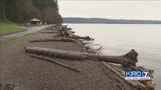 VIDEO: Climate change driving effort to re-shape Point Defiance Park's Owen Beach