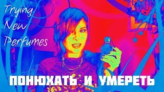Новые Парфюмы и Косметика: Много и Сразу, Первые Впечатления