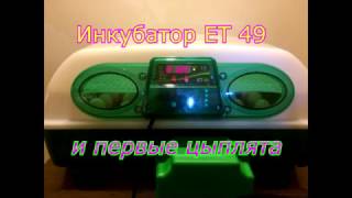 Инкубатор ЕТ 49 и цыплята