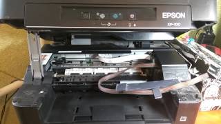 Ошибка замятие бумаги Epson XP 100