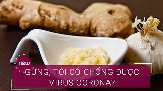 Gừng, tỏi có đủ sức "đánh bại" virus Corona? | VTC Now
