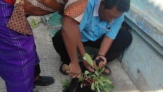 idul Qurban bersama PC PARMUSI KOJA+PC PARMUSI PRIOK+PD PARMUSI JAKARTA UTARA