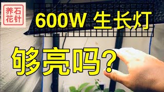 LED植物生长灯，升级到600W。初步印象分享（非专业）