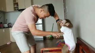 Monkey Baby Nui | Nui and papa fight