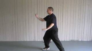 24 Form Tai Chi - Lesson 4 - Part the Horse's Mane continued