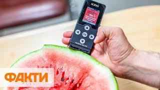 Нитратомер или лаборатория как лучше проверить овощи и фрукты на нитраты
