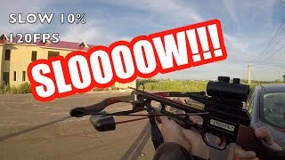 Стрельба из арбалета в замедленном действии  [Эпичность зашкаливает]