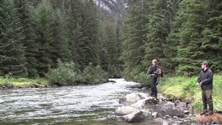 3307's Alaskan Adventure