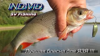 Язь на SV Fishing Individ