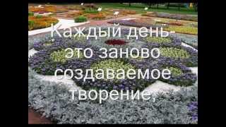 Мудрые слова