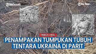 Tumpukan Tubuh Tentara Ukraina Bergelimpangan di Parit, Ulah Rusia?