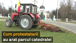 Cum protestatarii au arat în parcul catedralei mitropolitane