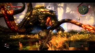 Ведьмак 2 - как убить Кейрана (высокая сложность) / The Witcher 2 - How to kill the Keiran