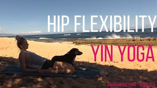 Yin-Infused Yoga for Beginners (Hip Opening) 20-Minute Yoga Practice