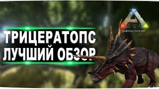 Трицератопс (Triceratops) в АРК. Лучший обзор: приручение, разведение и способности трайка в ark